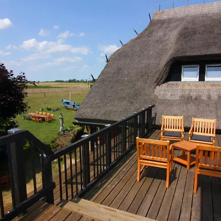Strandanker In
