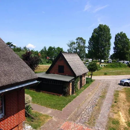 Strandanker In